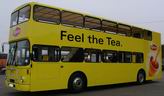 Lipton 02
